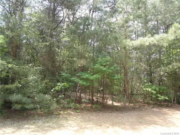 4868 Slanting Bridge RD #41, Sherrills Ford, NC 28673