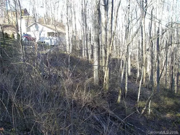 Maggie Valley, NC 28751,15 Spirit Mountain TRL