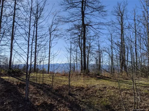 Pisgah Forest, NC 28768,8 McDonald CT