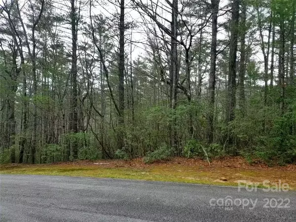 Sapphire, NC 28774,71 Big Pine RD #71