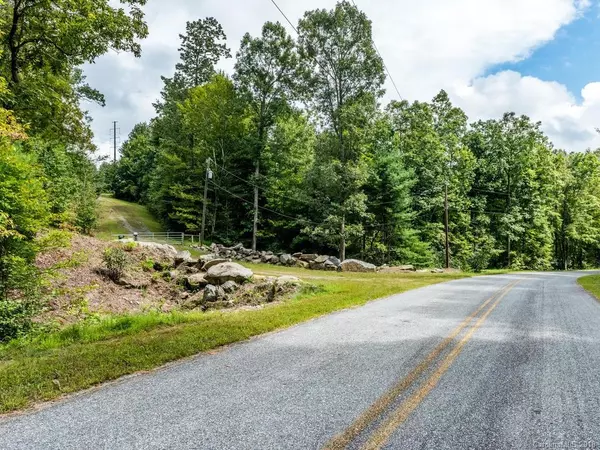 1780 Camp Creek RD, Saluda, NC 28773