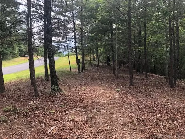 Mill Spring, NC 28756,Lot 67 Lake Adger Pkwy