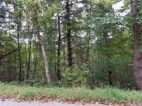 Lot 6 Pine Ridge RD, Mars Hill, NC 28754