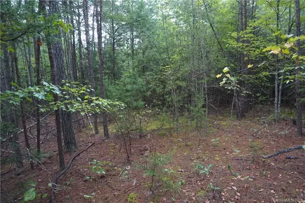 Edgemoor, SC 29712,3 AC Wylies Mill RD #1