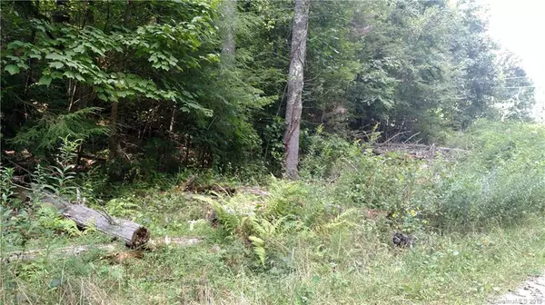 Spruce Pine, NC 28777,4 Serenity PL