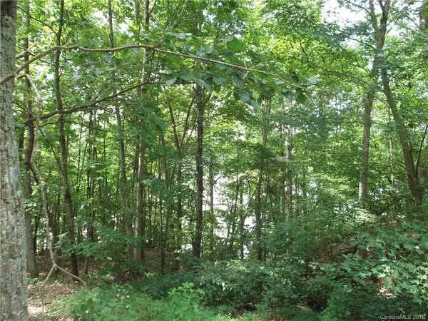 Stony Point, NC 28678,Lot 44,45,86 Stewart Rock RD