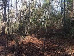 Deep Gap, NC 28618,00 Shannon CT