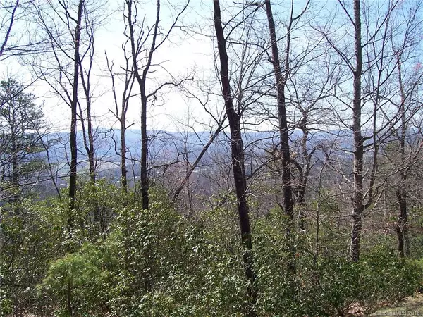 Pisgah Forest, NC 28768,43 Lobdell RD #Lot 43