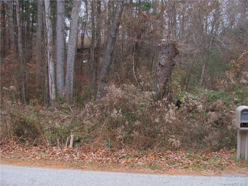 Hendersonville, NC 28791,LOT 77 Beechwood Lakes DR