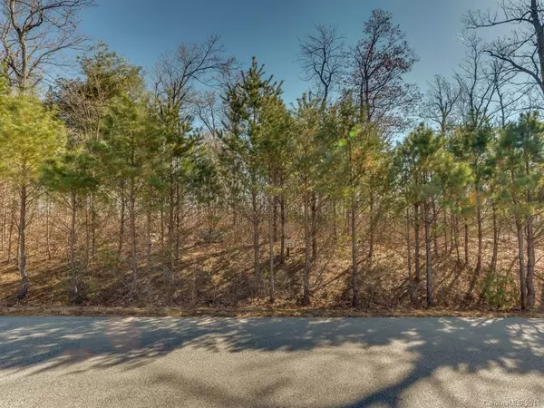 LOT 275 Kincaid PL, Mill Spring, NC 28756