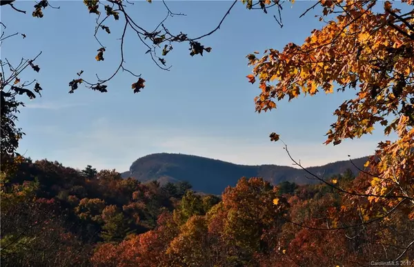 102 Gray Bank RD #0, Lake Toxaway, NC 28747