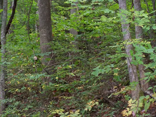 Mars Hill, NC 28754,000 Whispering Woods PATH #95