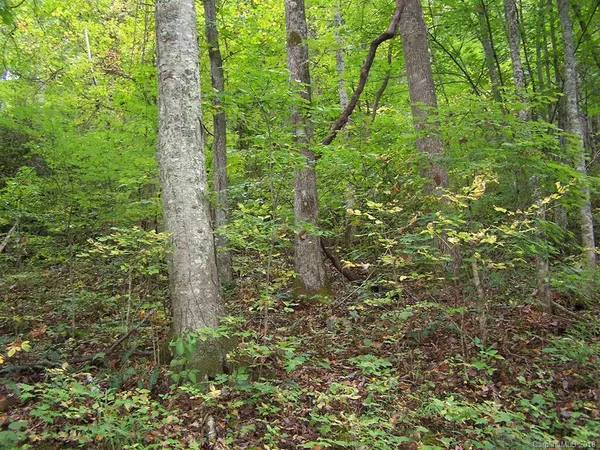 000 Whispering Woods PATH #95, Mars Hill, NC 28754