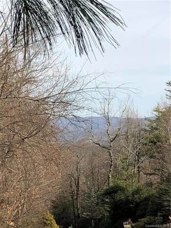 Flat Rock, NC 28731,Lot 13 Cliffbrook CT #13 I-R PHIV