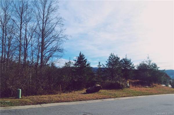 Weaverville, NC 28787,99999 Camsyn DR #LOT 20