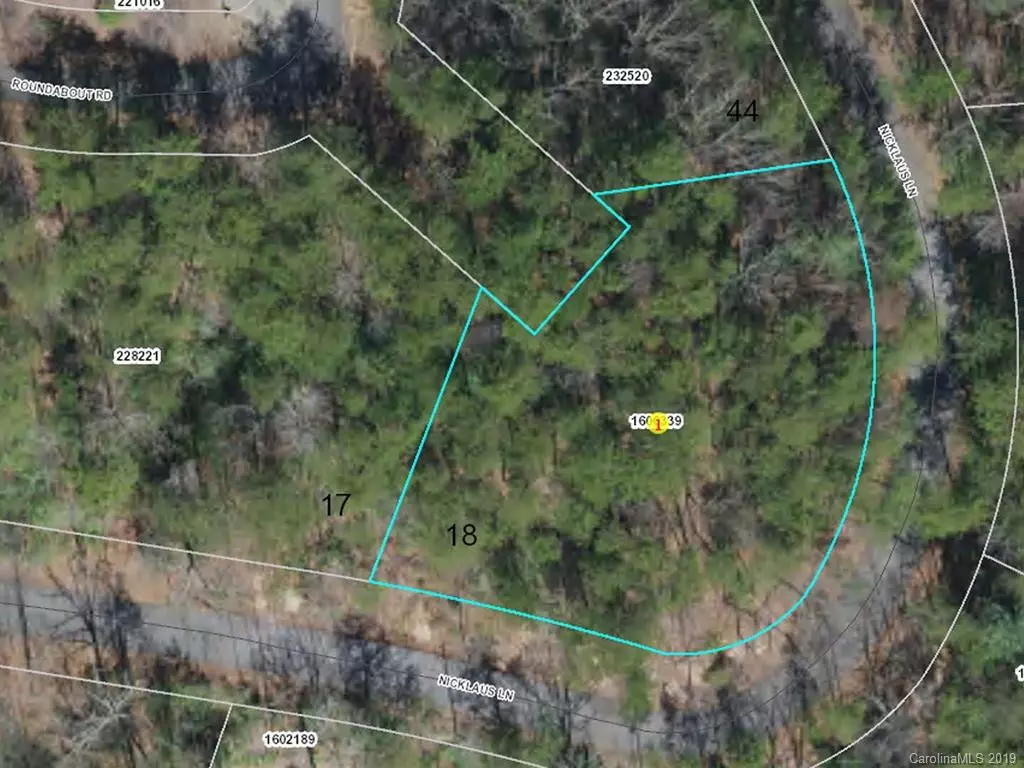 Lake Lure, NC 28746,LOT 18 Roundabout RD