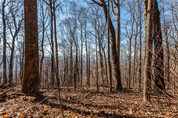 Fairview, NC 28730,000 Winding Ridge RD