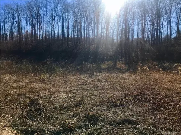 Rutherfordton, NC 28139,000 Thunder RD