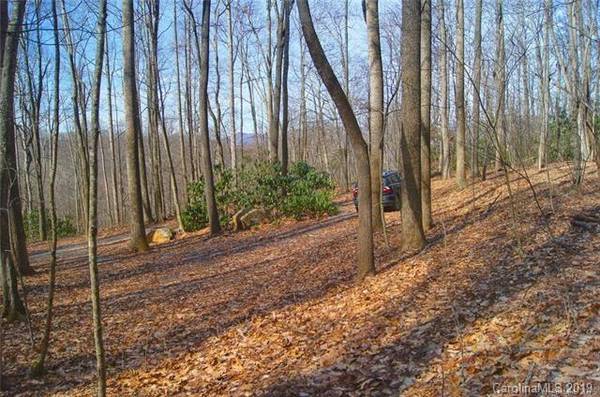 Swannanoa, NC 28778,00 Mountain Creek DR