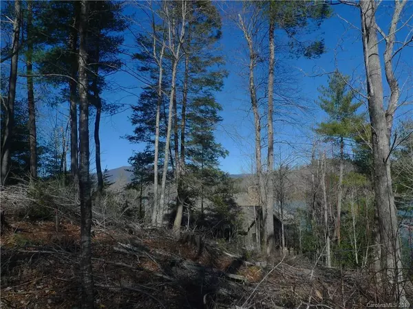 Nebo, NC 28761,90 Harborside DR #52