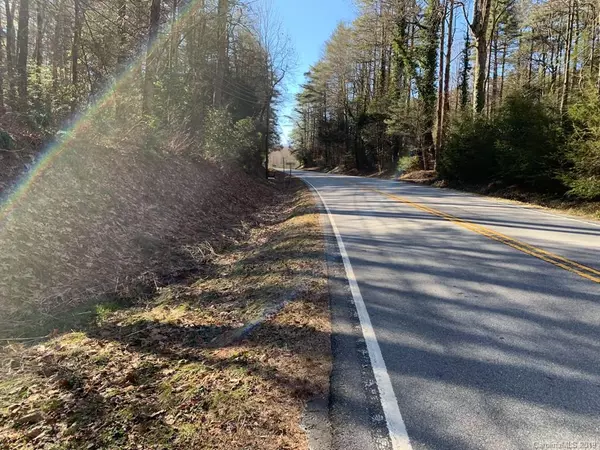 Lot 5 Greenville HWY, Cedar Mountain, NC 28718