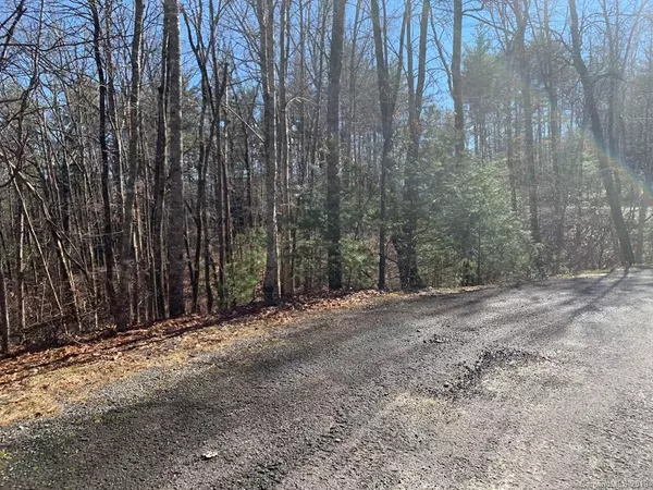 Brevard, NC 28712,Lot J31 Galax LN #J31