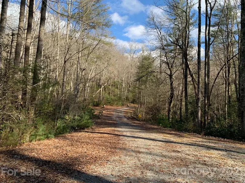 C Hunters RDG #Parcel C, Brevard, NC 28712