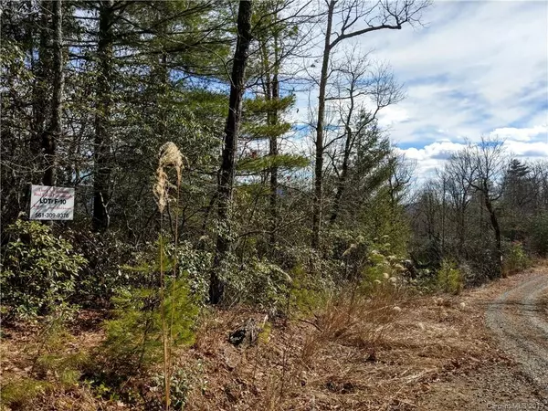 Hendersonville, NC 28739,000 Emma Bri LN #F10