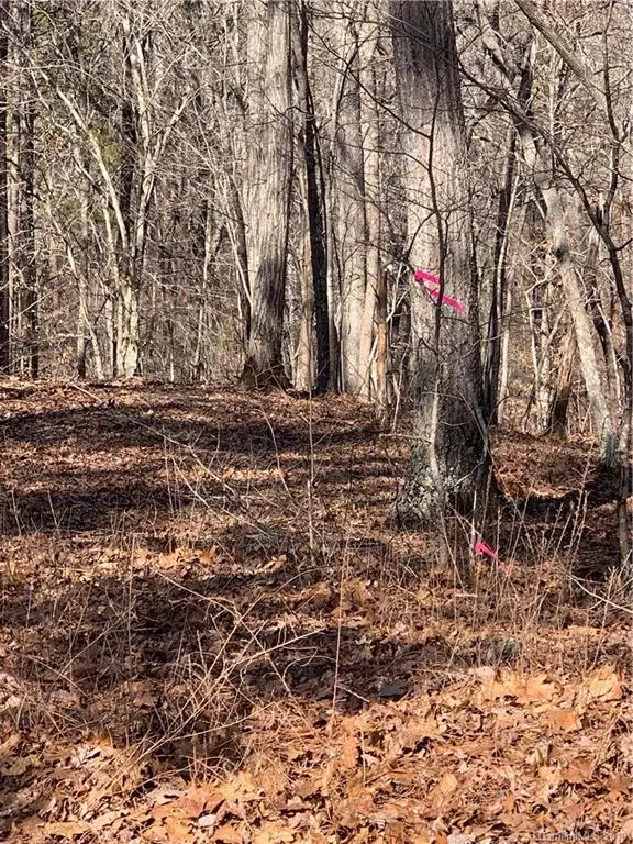 Mount Gilead, NC 27306,246 Jubal Reeves CIR #1428