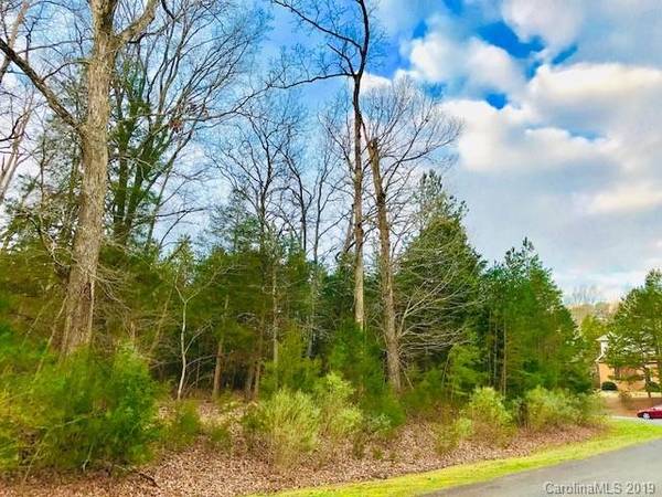 Oakboro, NC 28129,VAC Lot 29 Crooked Oak DR #29