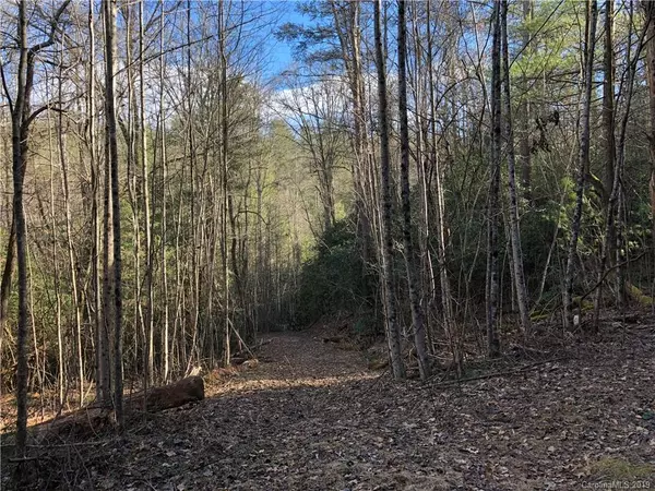 Hendersonville, NC 28739,TBD Emerald Pond CV #6