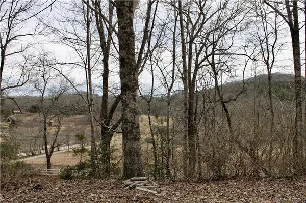 Lake Toxaway, NC 28747,6930 Silversteen RD