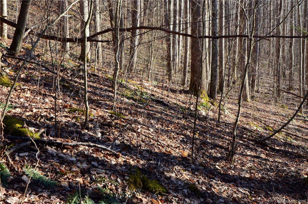 Barnardsville, NC 28709,tbd Martins Creek RD