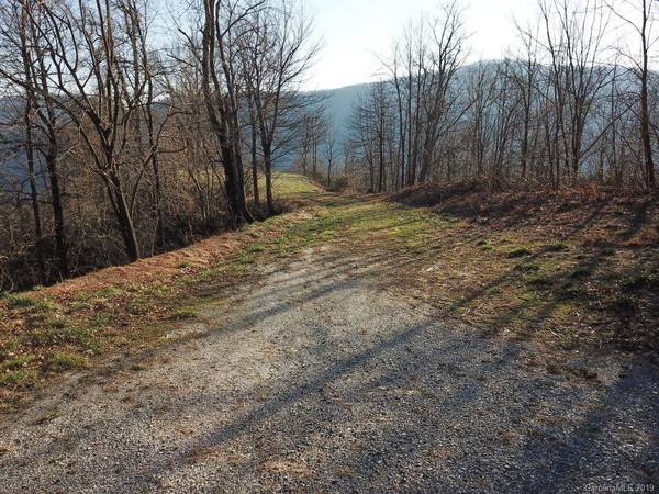 Black Mountain, NC 28711,Lot H-13 488 Warbler LN #H-13