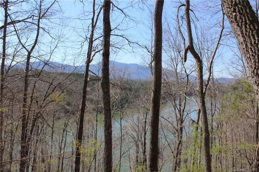 Lot 22 Mountain Pkwy, Mill Spring, NC 28756