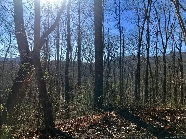 9999 Big Cove RD #Tract B, Candler, NC 28715