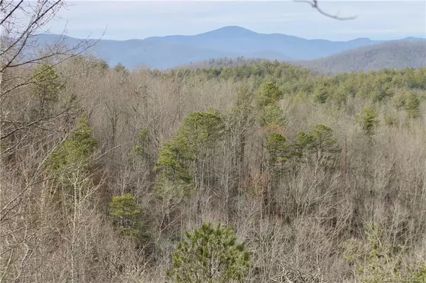 Brevard, NC 28712,TBD Lazy Days DR