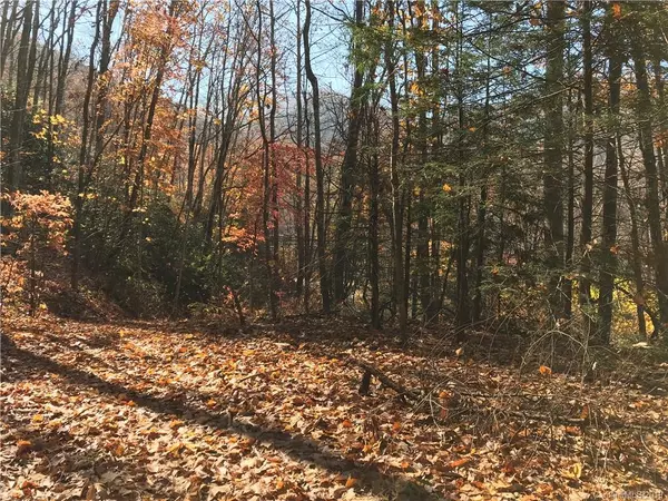 999 Candlewood CIR #Lot#32, 33, Waynesville, NC 28785