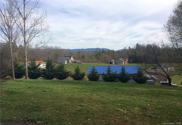 Weaverville, NC 28787,17 White Oak HL