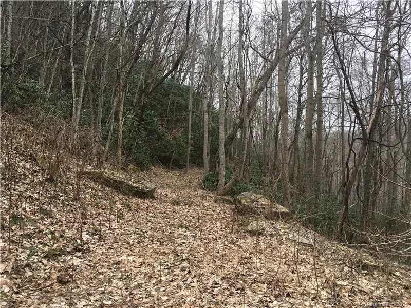 Lot 96 Whispering Woods PATH, Mars Hill, NC 28754