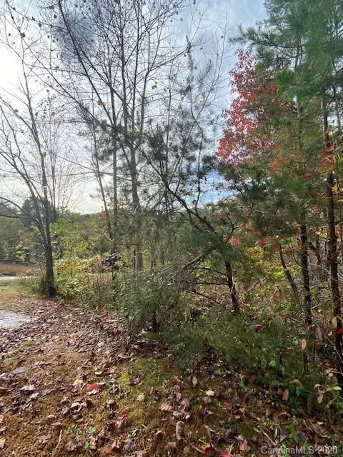 Lake Lure, NC 28746,Lot 49 Boulder RUN