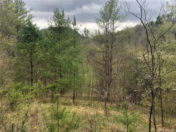 Hot Springs, NC 28743,Lot 30 Freedom LN