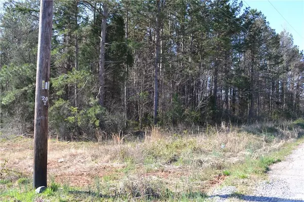 East Spencer, NC 28039,1 Tract Boundary ST N