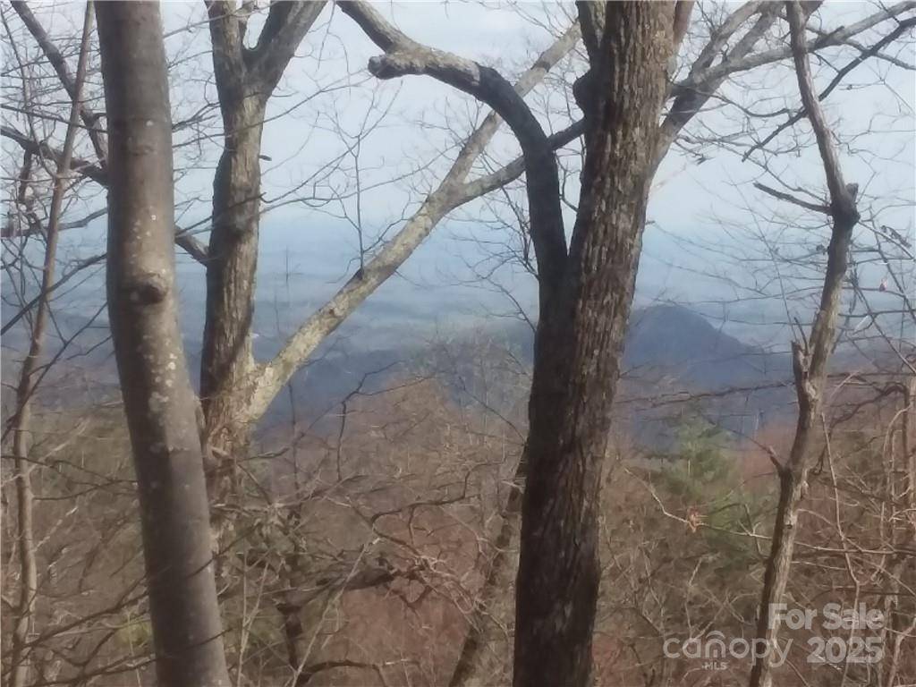 Tryon, NC 28782,- Melrose Mountain RD #630 & 631
