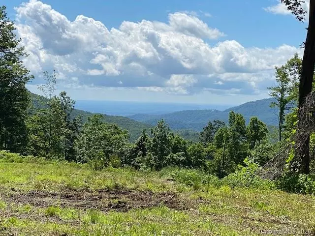 Black Mountain, NC 28711,21 High Cliffs TRL #32