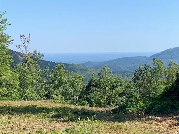 Black Mountain, NC 28711,21 High Cliffs TRL #32