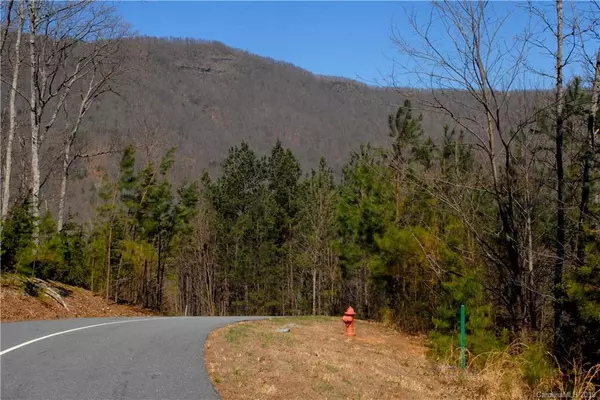 00 Deep Gap Farm RD #2027, Mill Spring, NC 28756