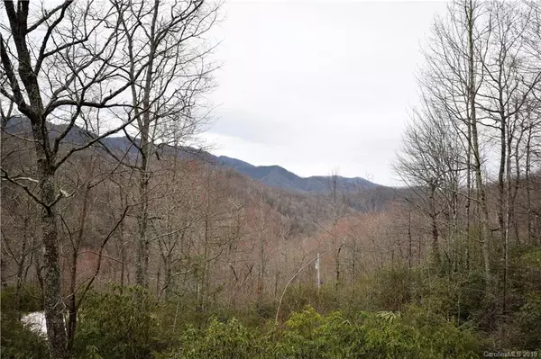 Maggie Valley, NC 28751,631 Cranberry Creek RD