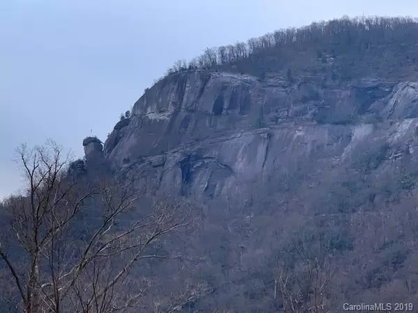 0000 Hickory TRL #5, Chimney Rock, NC 28720