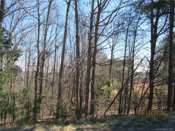 Rutherfordton, NC 28139,572 Pleasant Hill Loop RD